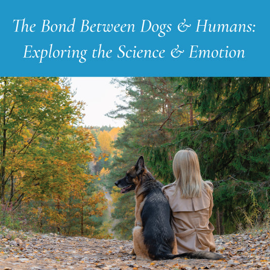 The Bond Between Dogs and Humans: Exploring the Science and Emotion
