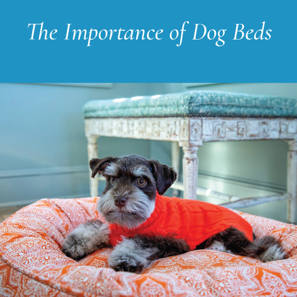The Importance of Dog Beds: Why Your Pup Deserves Their Own Comfortable Space
