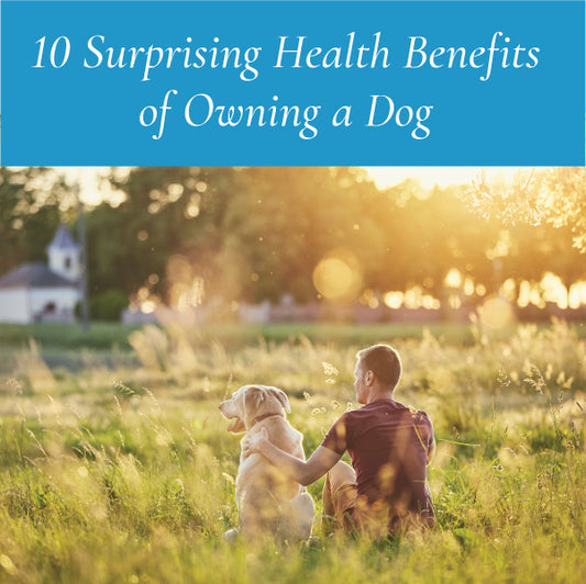 10 Surprising Health Benefits of Owning a Dog