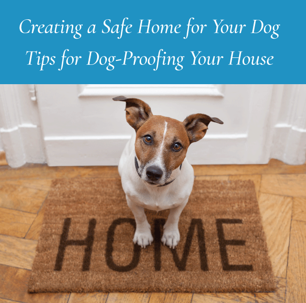 Creating a Safe Home Environment for Your Dog: Tips for Dog-Proofing Your House