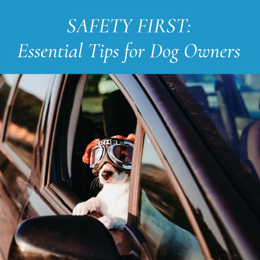 Safety First: Essential Tips for Dog Owners