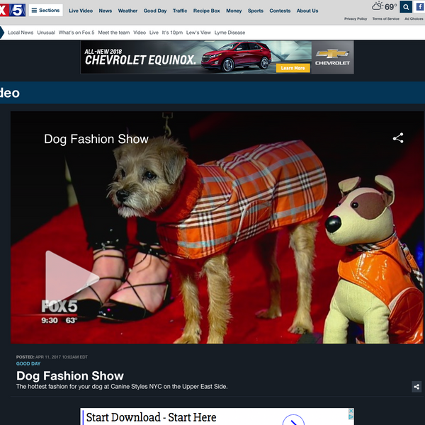 4/17 - Fox 5 NY puts on A Canine Styles Fashion Show to showcase the HOTTEST Dog Fashion.