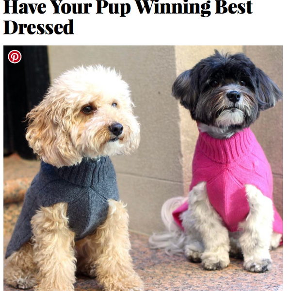 03/17 - InStyle Names 12 Dog Clothing Brands That’ll Have Your Pup Winning Best Dressed