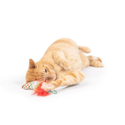 Feline - Christmas Stocking Flinger - Cat Toy