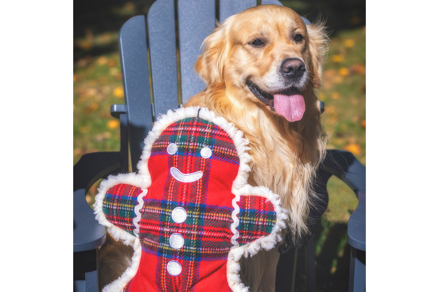 Christmas - Tartan Tidings Collection Plaid McButtons - Dog Toy