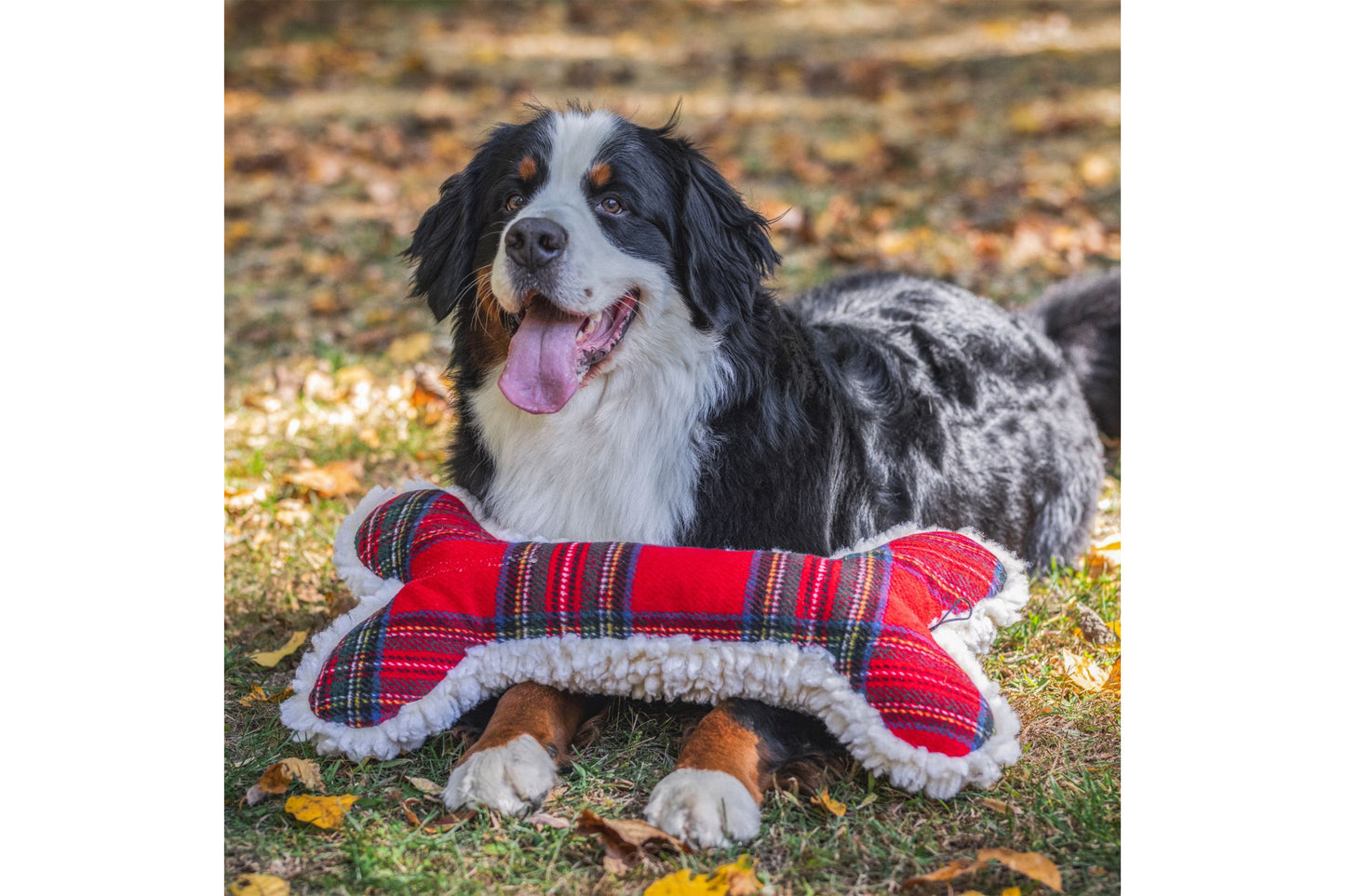 Christmas - Tartan Tidings Collection HuggleFleece Bone - 12" - Dog Toy