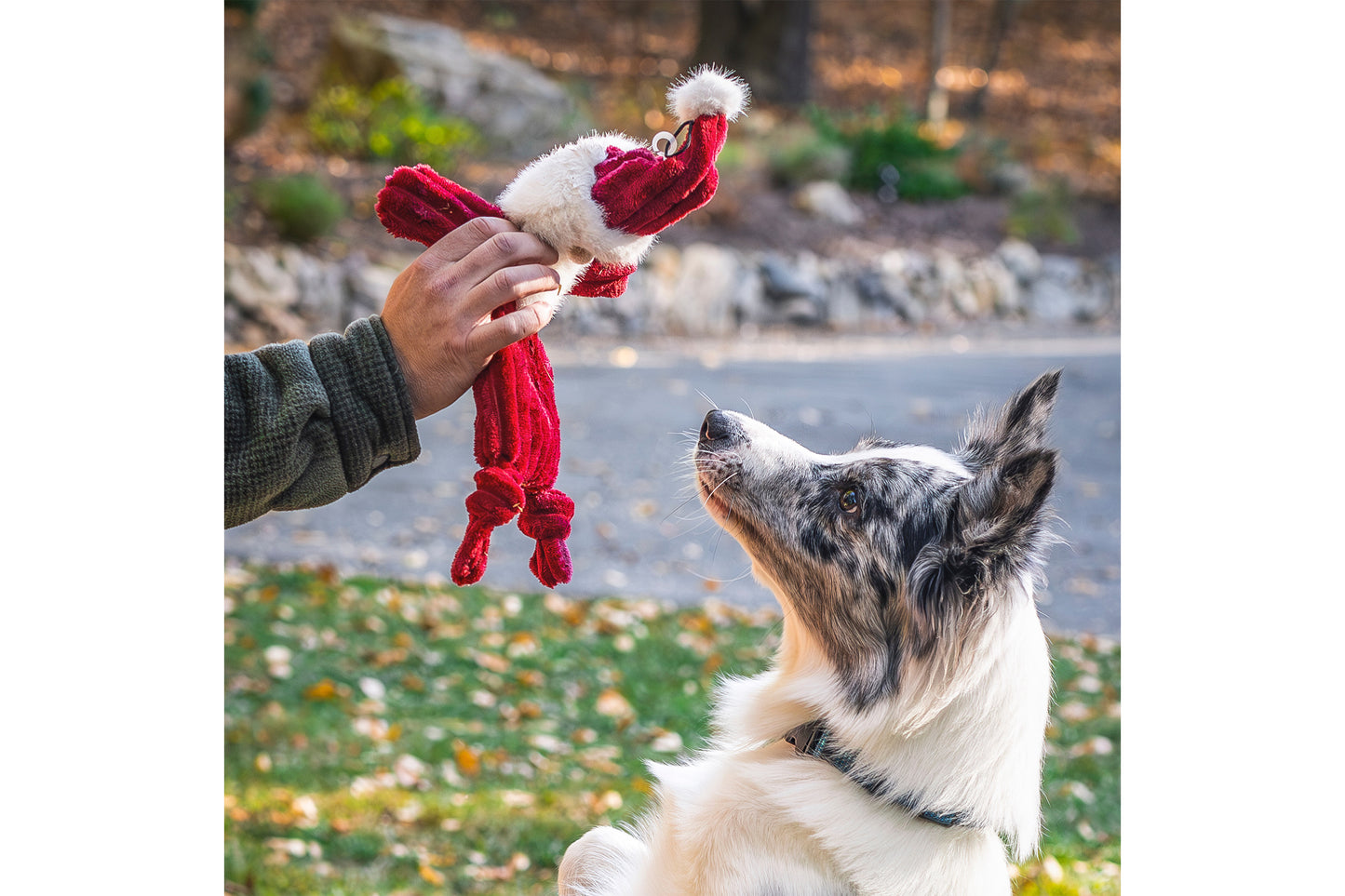 Christmas - Classic Collection HuggleFlatties St. Nick - Dog Toy