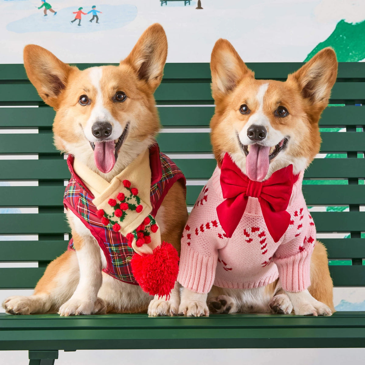 Christmas - Holiday - Pink Candy Canes Dog Sweater