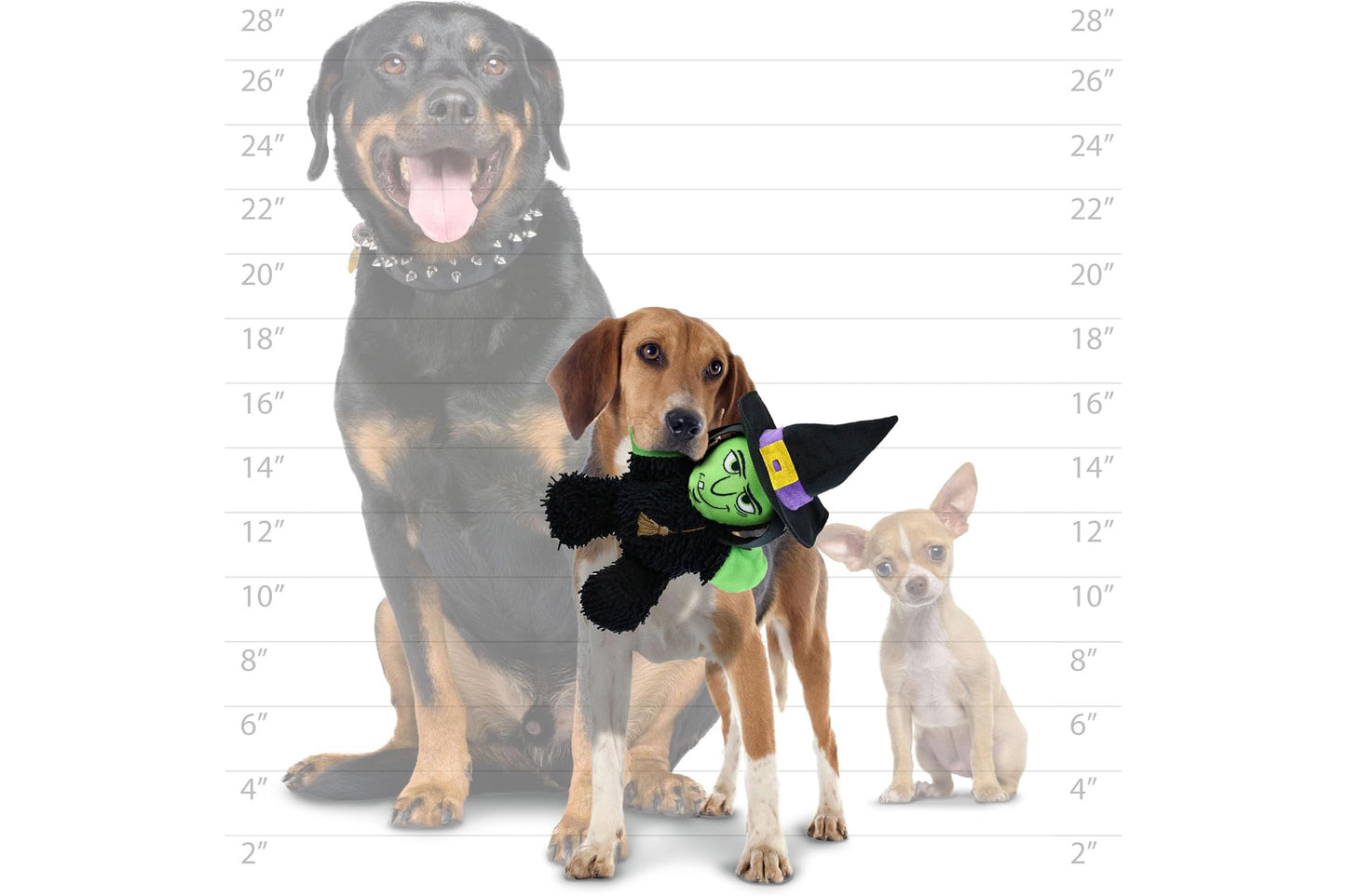 Halloween - Microfiber Ball - Witch - Dog Toy