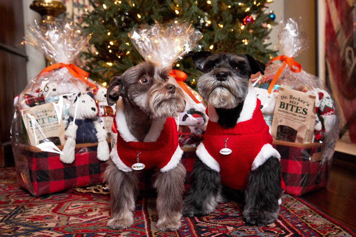 Christmas - Holiday Gift Basket - Dog Holiday - 3 Size Options