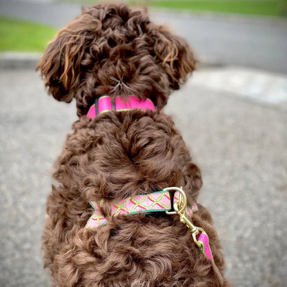 Market Collection Dog Leads - 6 Color Options