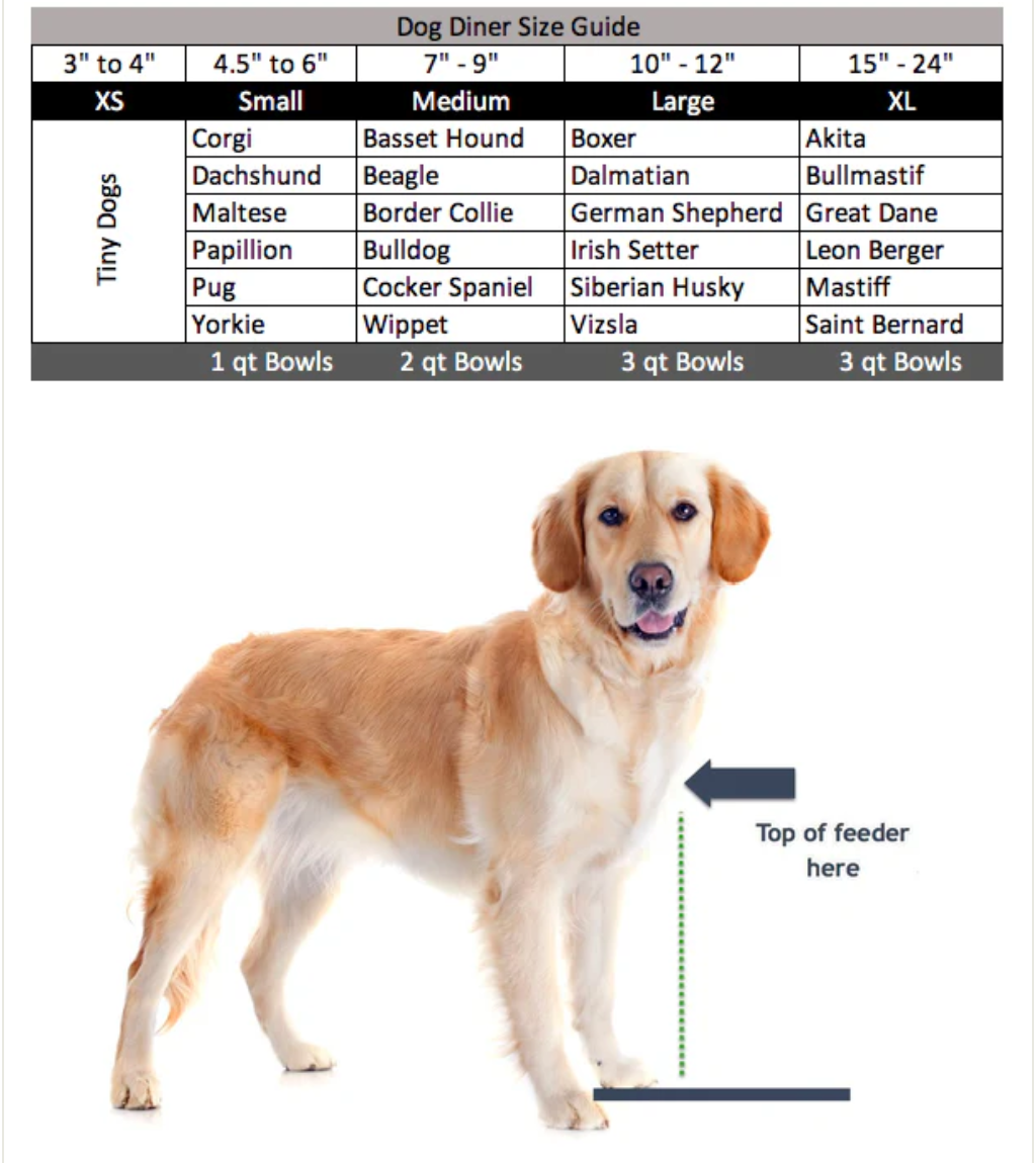 Baron Single Diner - Dog Feeder - Dog Bowl - 4 Sizes