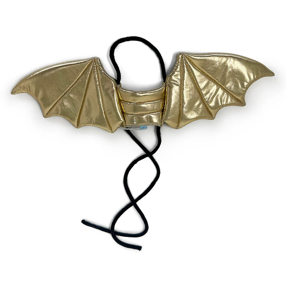 Dog Halloween Costumes | Dragon Wings