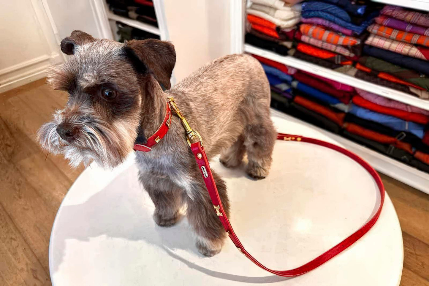 "H" Dog Leads - Leather Lead - 10 Color Options