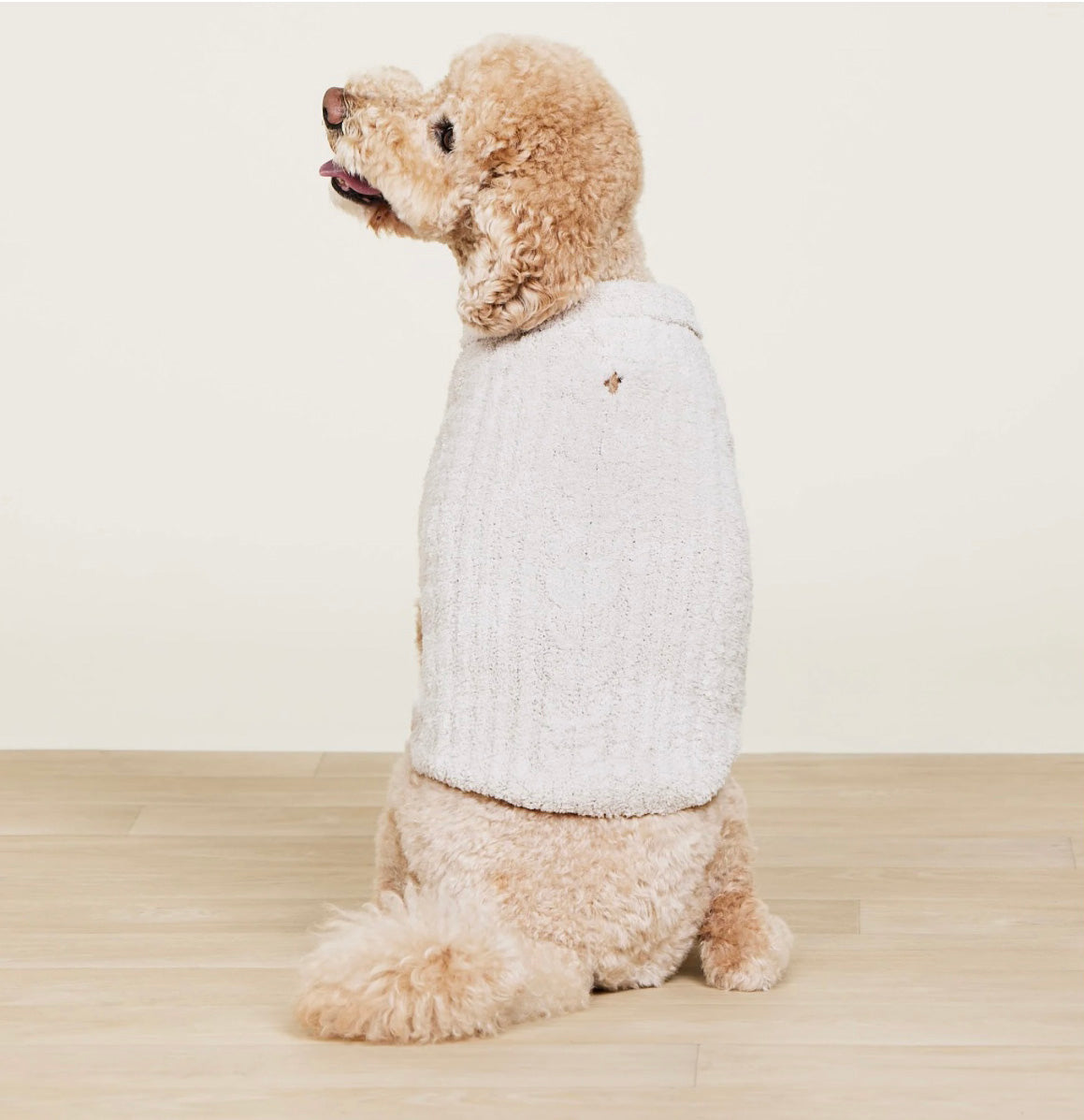 Chenille Rag Dog Sweater - Dark Gray, Light Gray, Black, Winter White, Rose - 5 Color Options