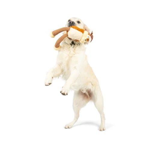 Christmas - Lankies Sprucey Squirrel - Dog Toy