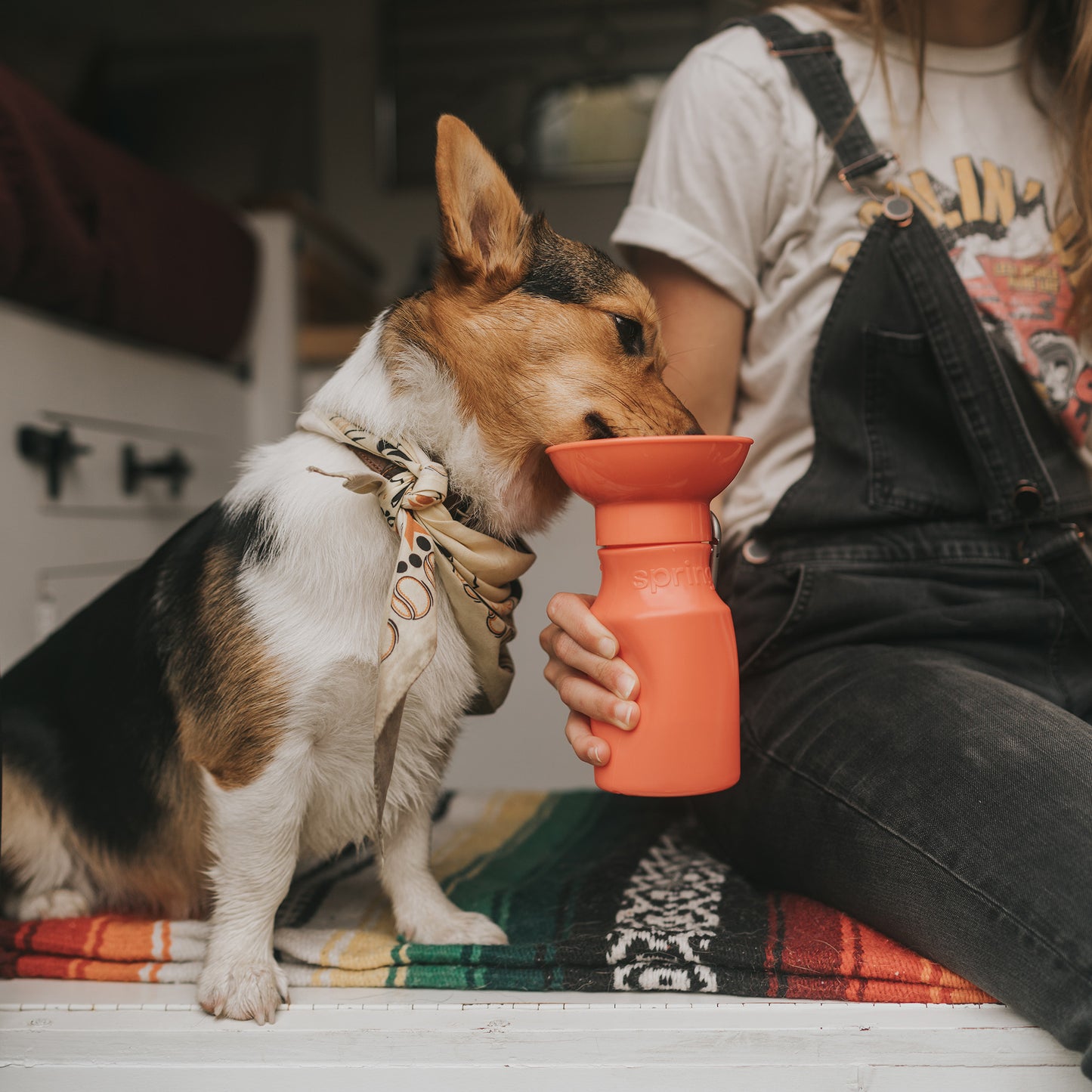 Dog Water Travel Bottle - 3 color options