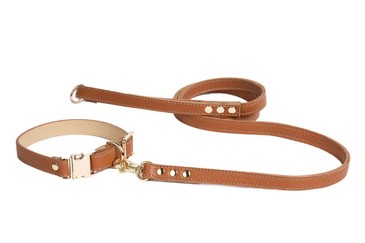 Canine Styles Fine Leather 4-Foot Leads - 3 Color Options