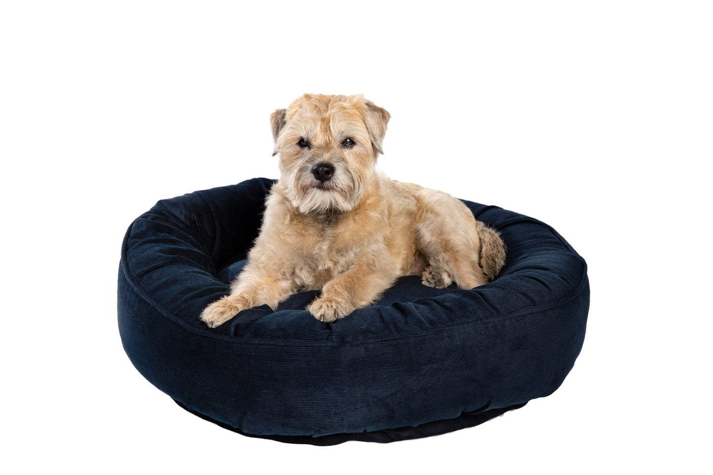 Canine Styles - Corduroy Dog Bed - 3 Color Options