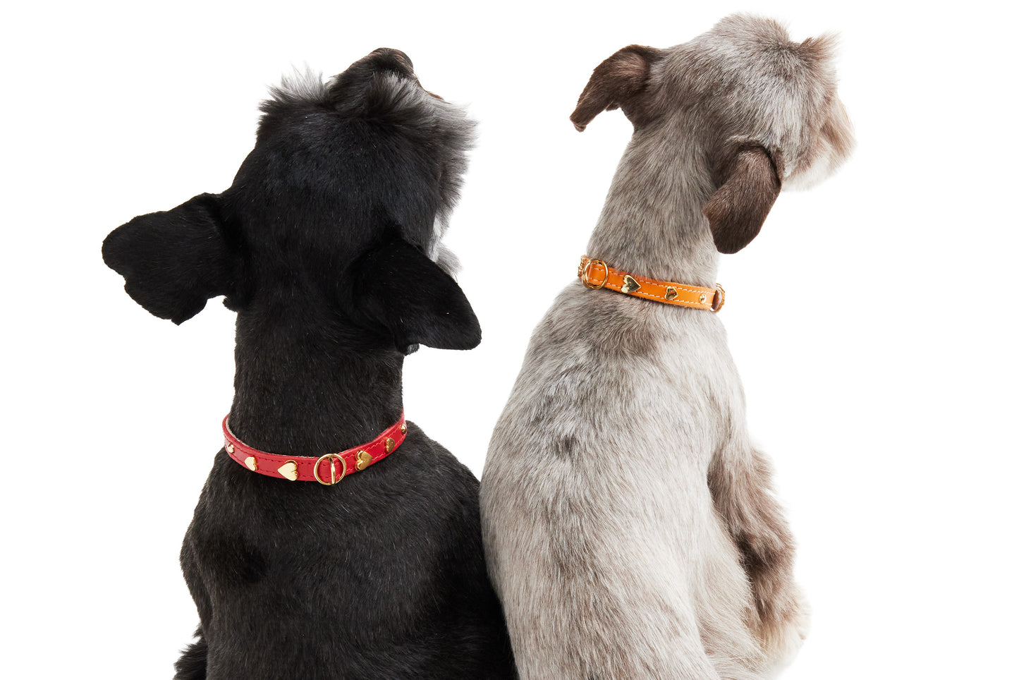 Jophi - Dog Collars - Soft Leather Heart - 11 Color Options