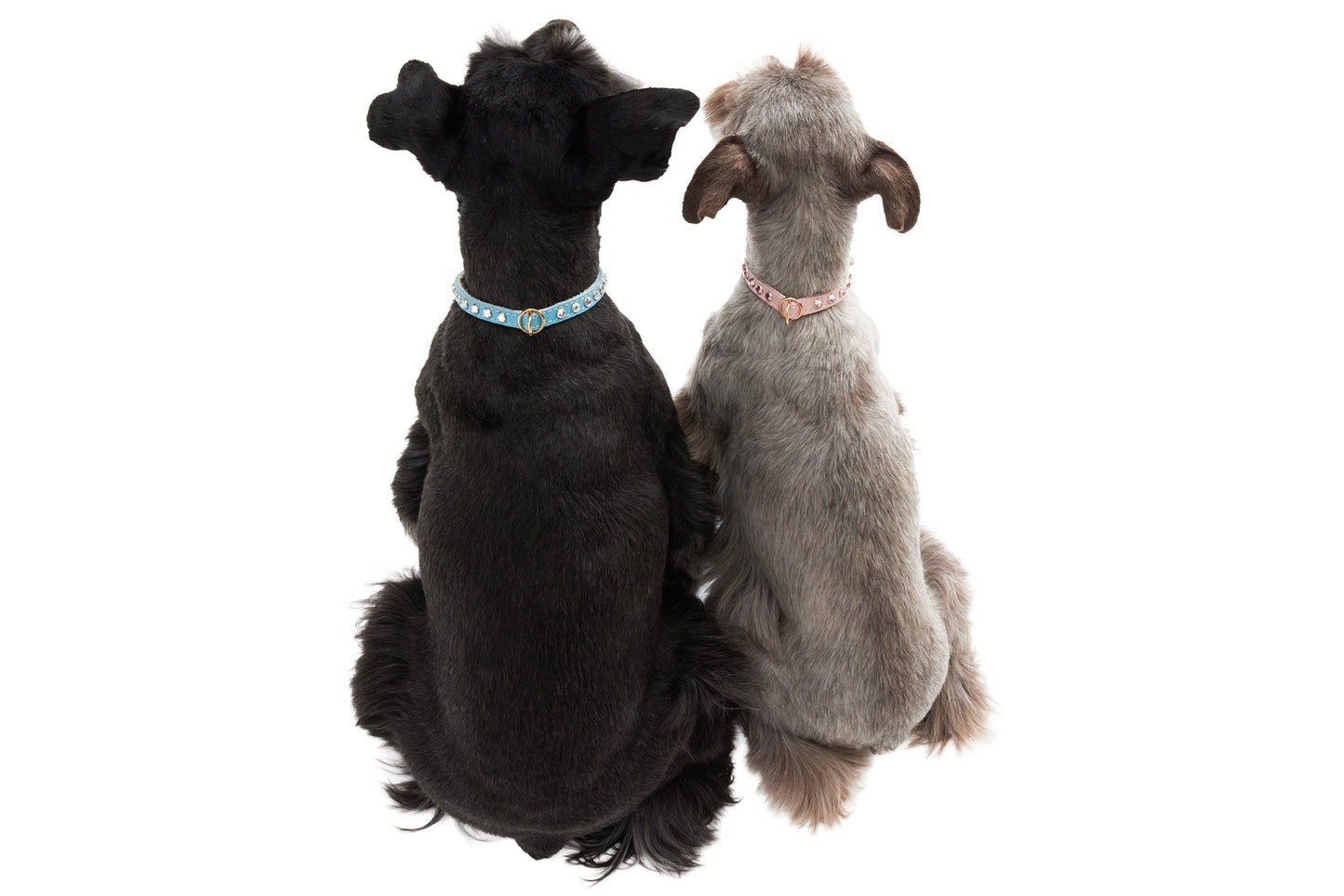 Jophi - Dog Collar - Soft Leather Rhinestone - 8 Color Options