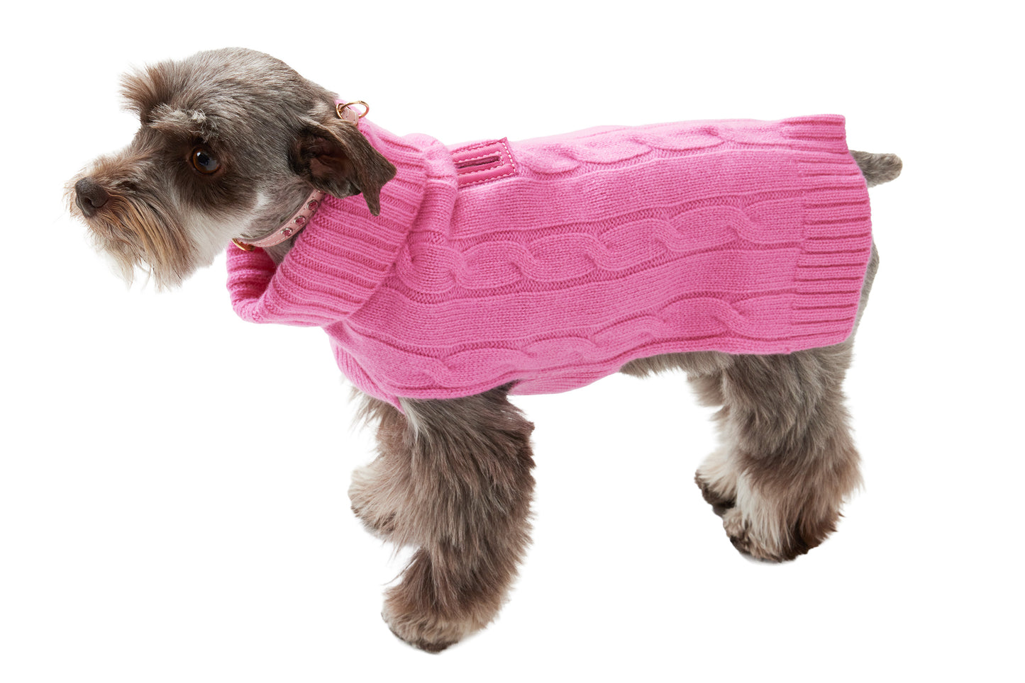 Cashmere Dog Solid Sweater - Green, Brown & Yellow