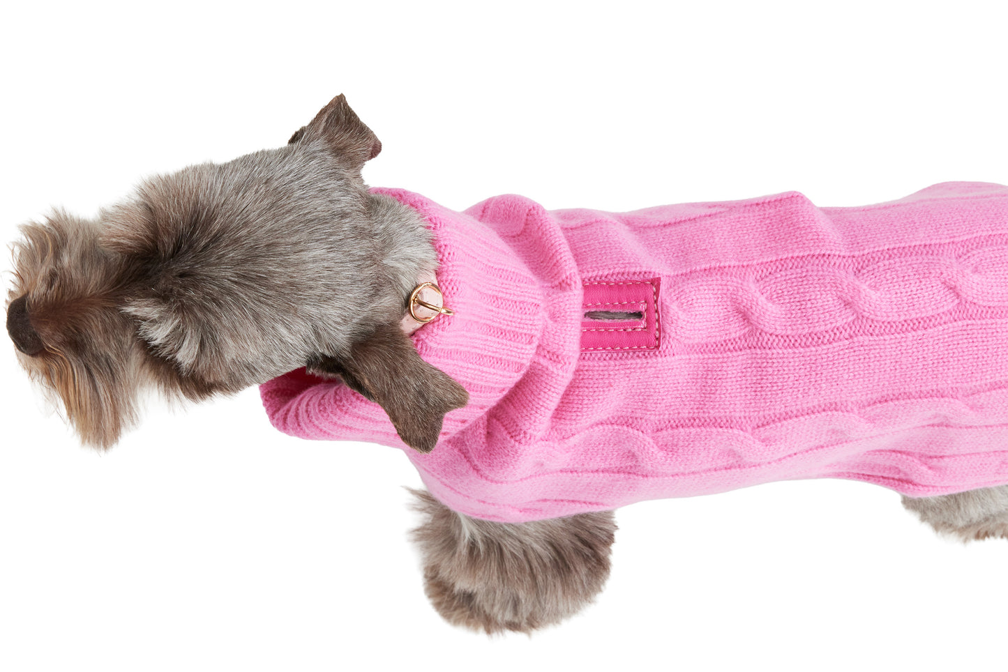 Cashmere Dog Solid Sweater - Hot Pink & Purple