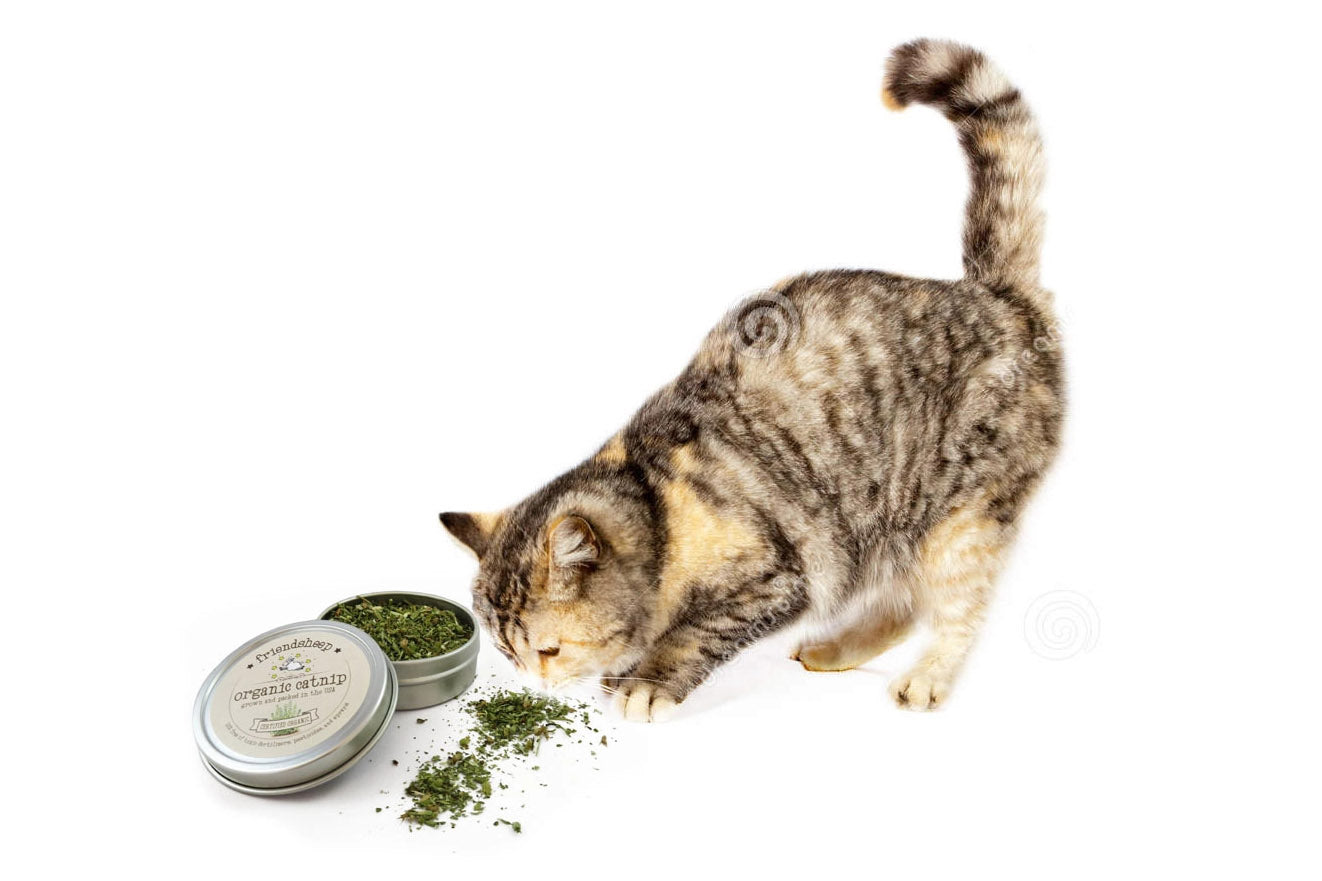 Cat Toy - Organic Catnip Tin