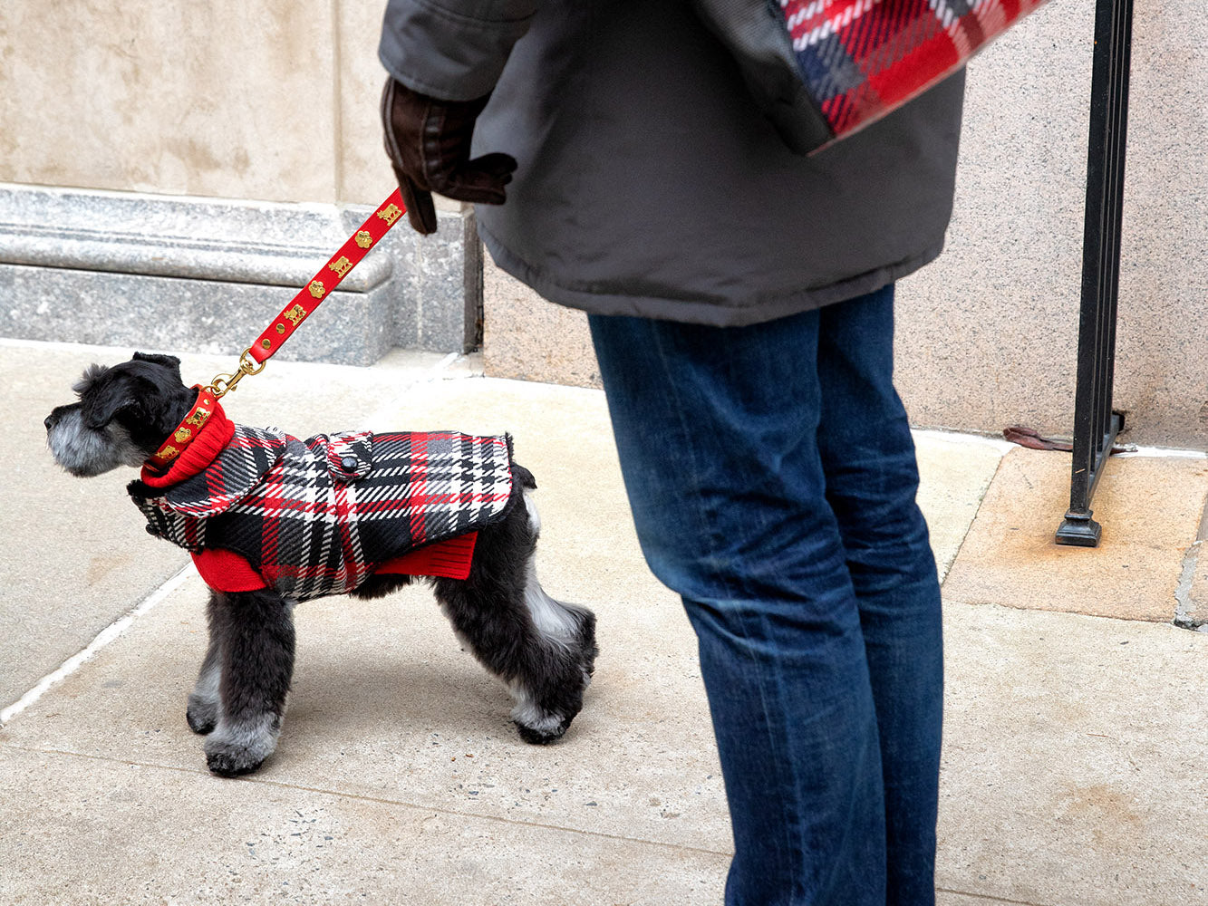 Dog Leads - Original St. Moritz Lead - 3 Color Options