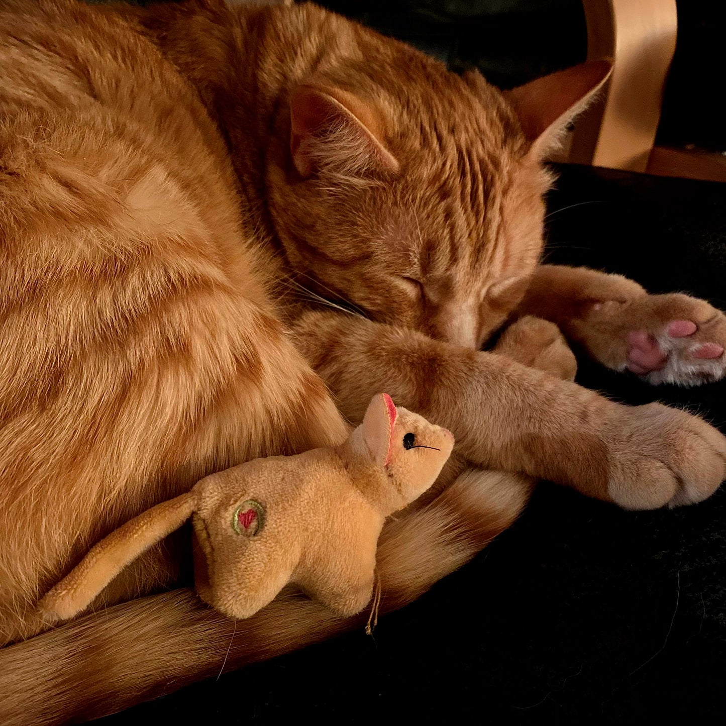 Cat Toy - Wee Squooshie Mice Cat Toys - 2 Color Options