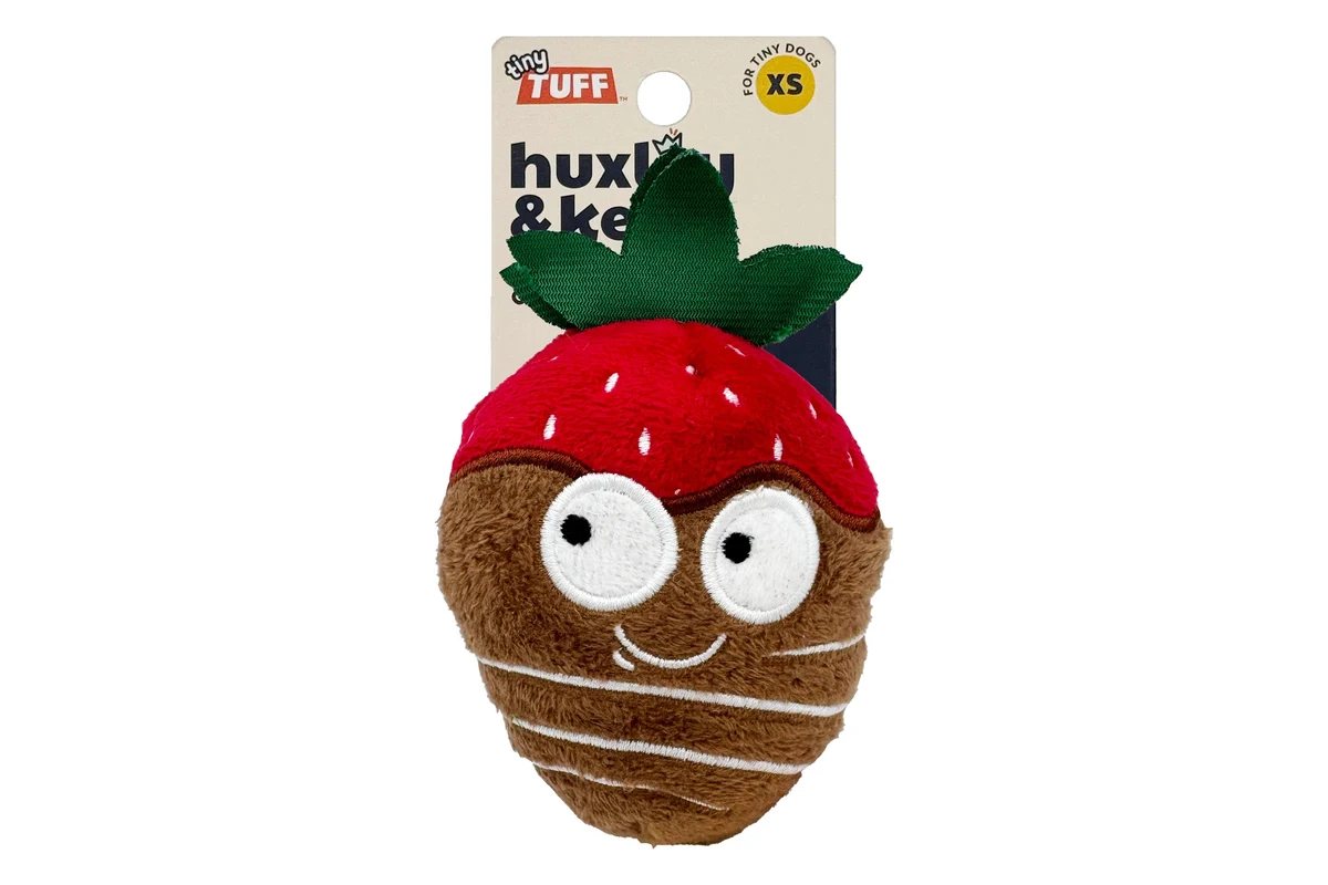Dog Toy - Tiny Tuff Chocolate Covered Strawberry