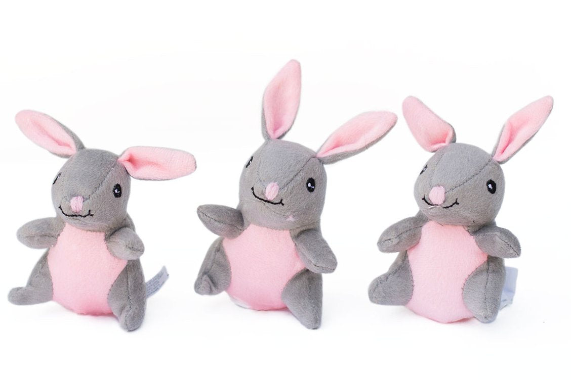 Miniz Bunny - Dog Toy