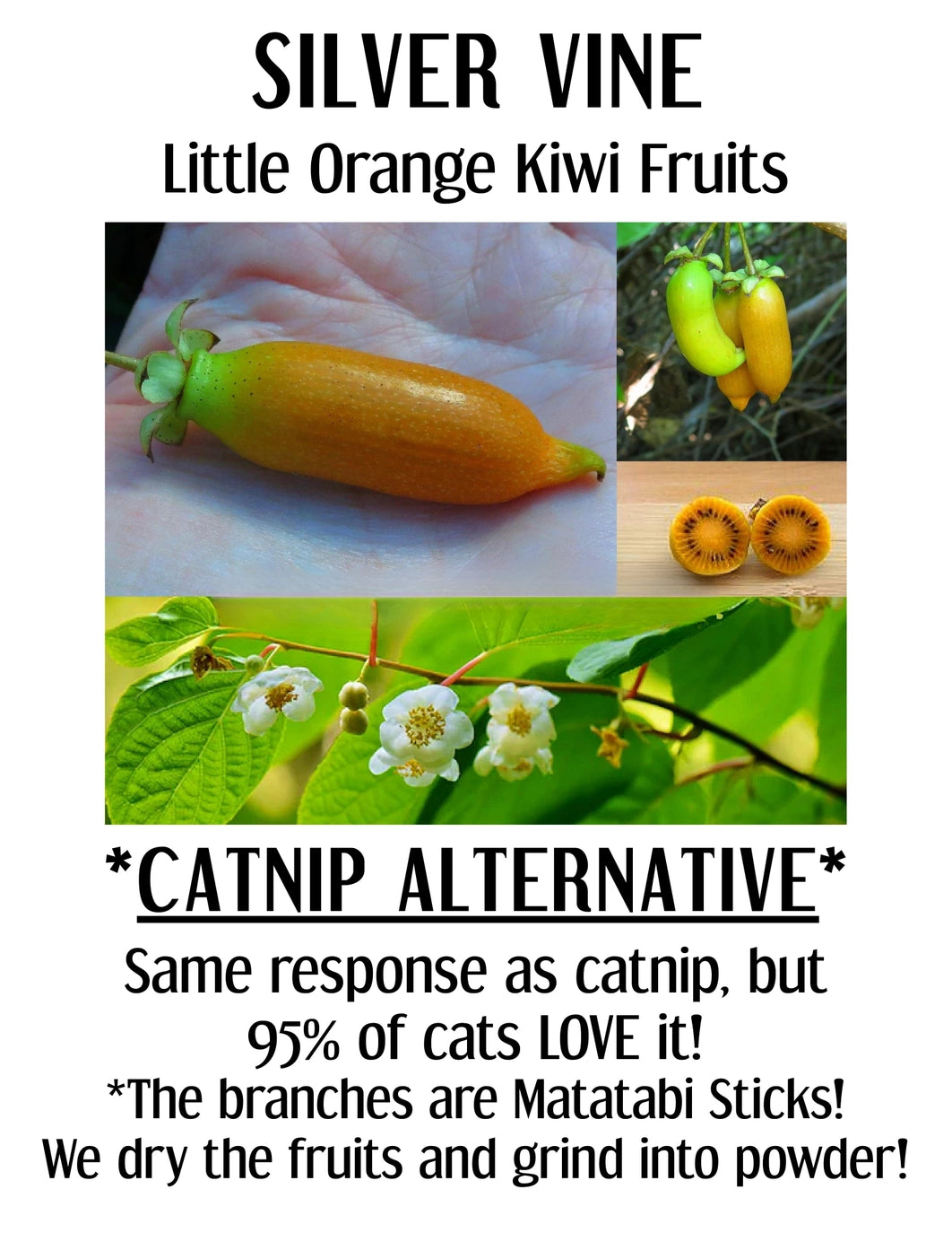 Organic Catnip Silver Vine Blend Bag - Gift-Treat For Pets