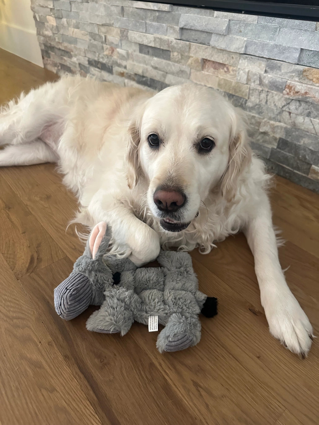 NEW - Dog Toy - Barnyard Buddy Donkey