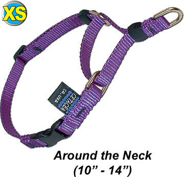 Cetacea Soft Martingale - Extra Small