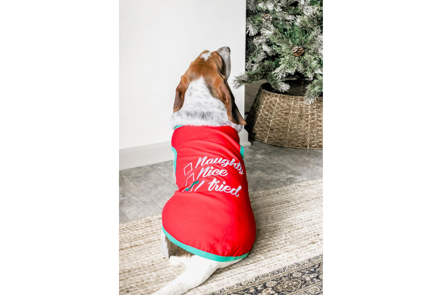 Christmas - Naughty or Nice - Dog Tee Shirt