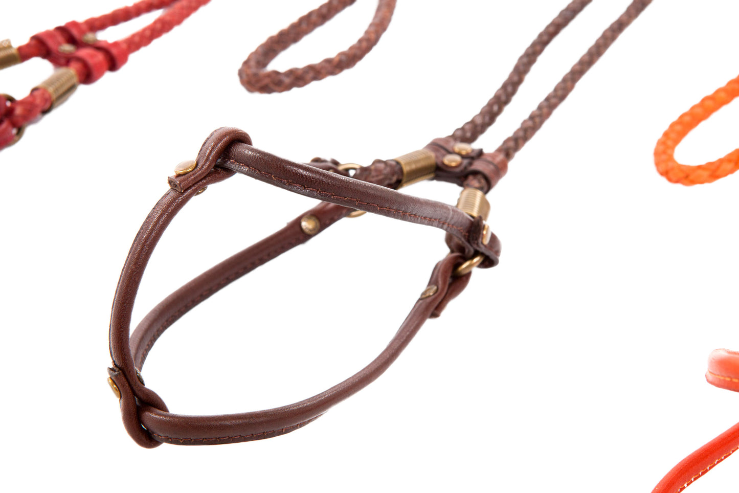 Braided & Flat Leather Step-In Harness - All-in-One Lead & Harness - 4 Color Options