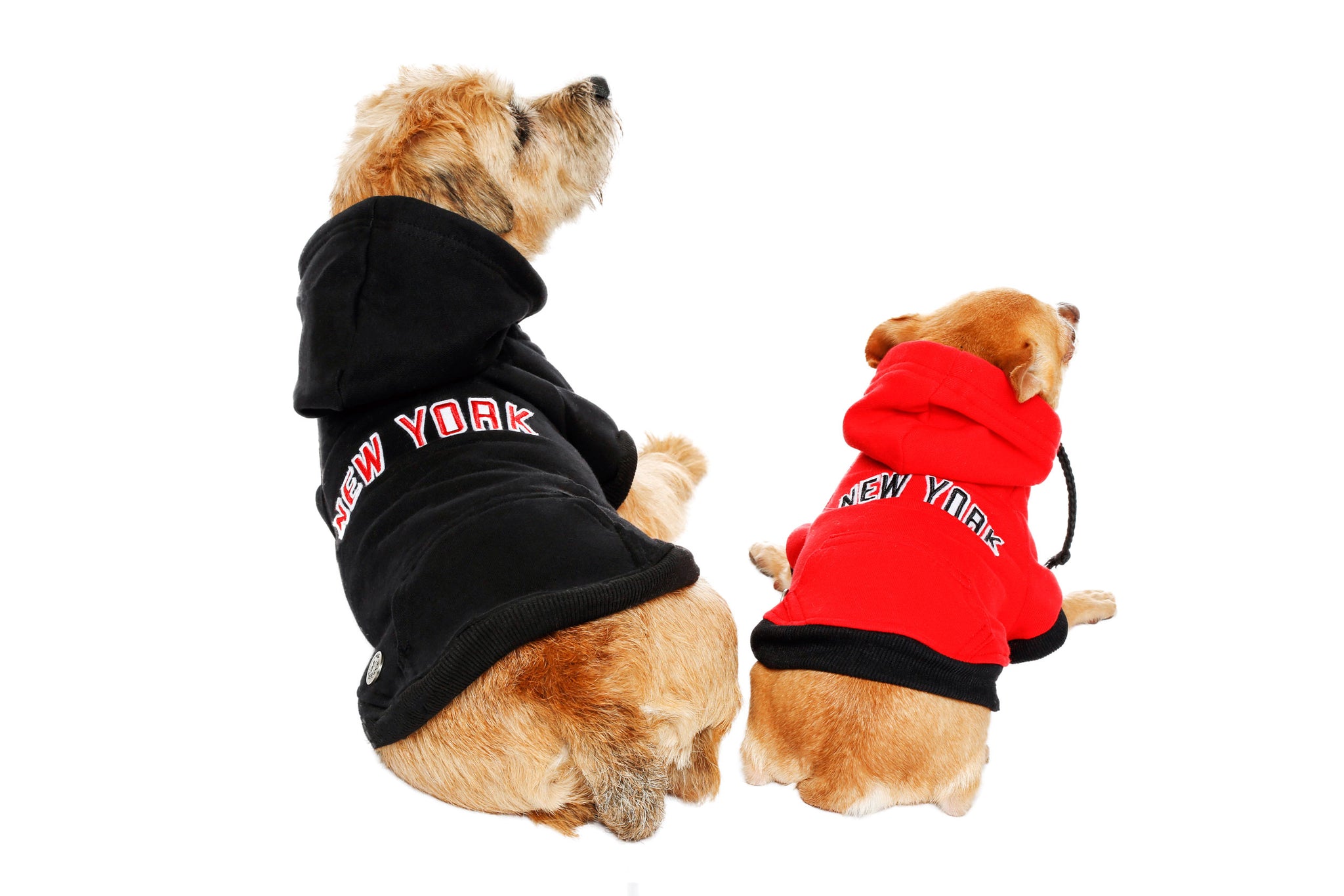 Sweatshirt Hoodie - NYC Dog Hoodie - Dog Sweatshirt - 4 Color Options