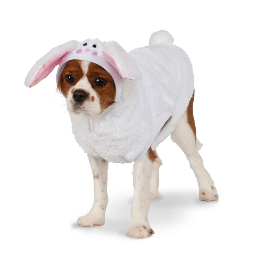Halloween Costumes Dog In Bunny Costume Bunny Dog Easter/Halloween