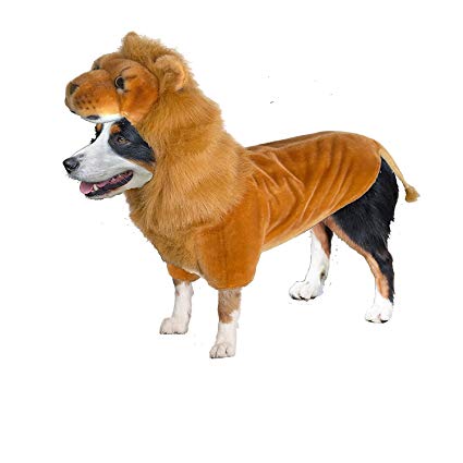 Dog Halloween Costumes | Lion