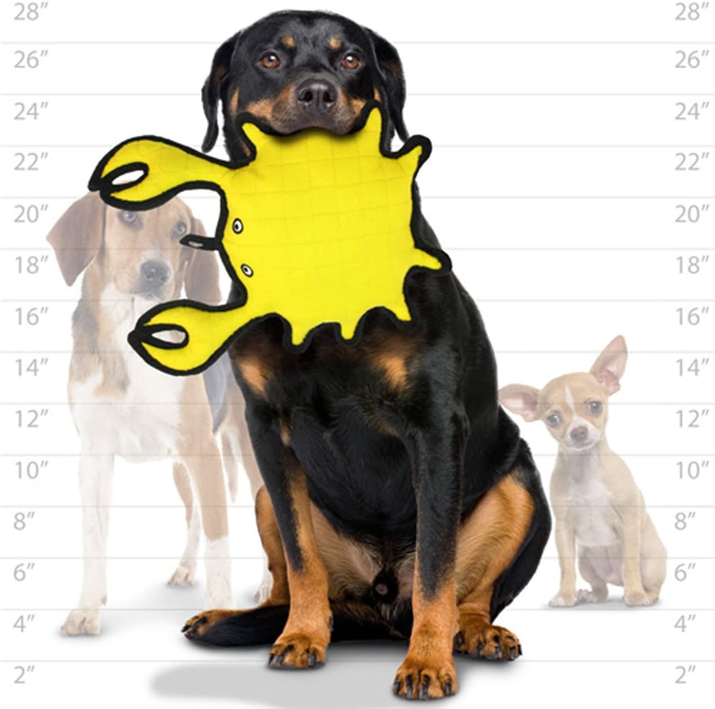 Sea Animal - Tuff Durable Yellow Crab - Dog Toy