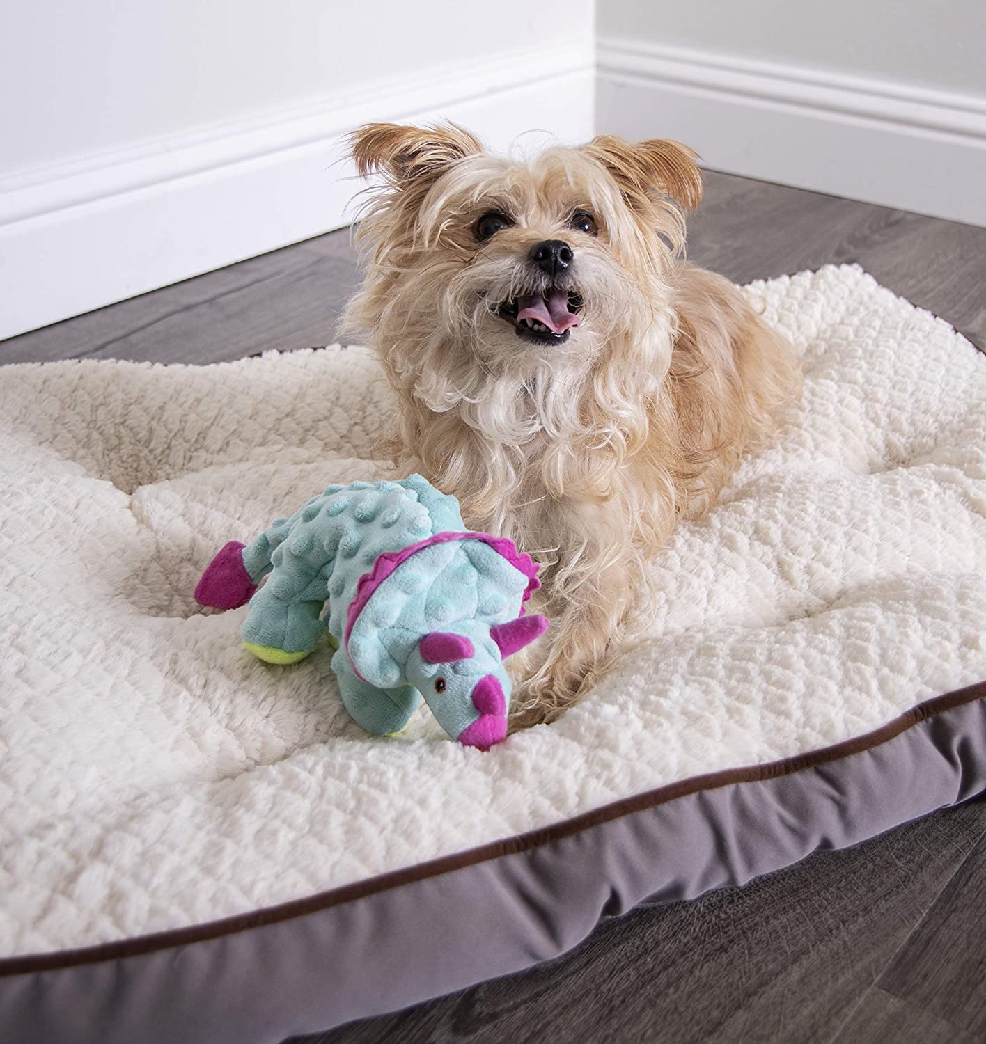 Dino Toy - Chew Guard Toy - Dog Toy