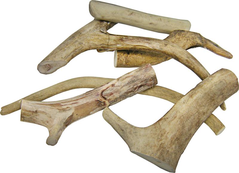 Antler Chew - Dog Chew - Dog Treat - USA