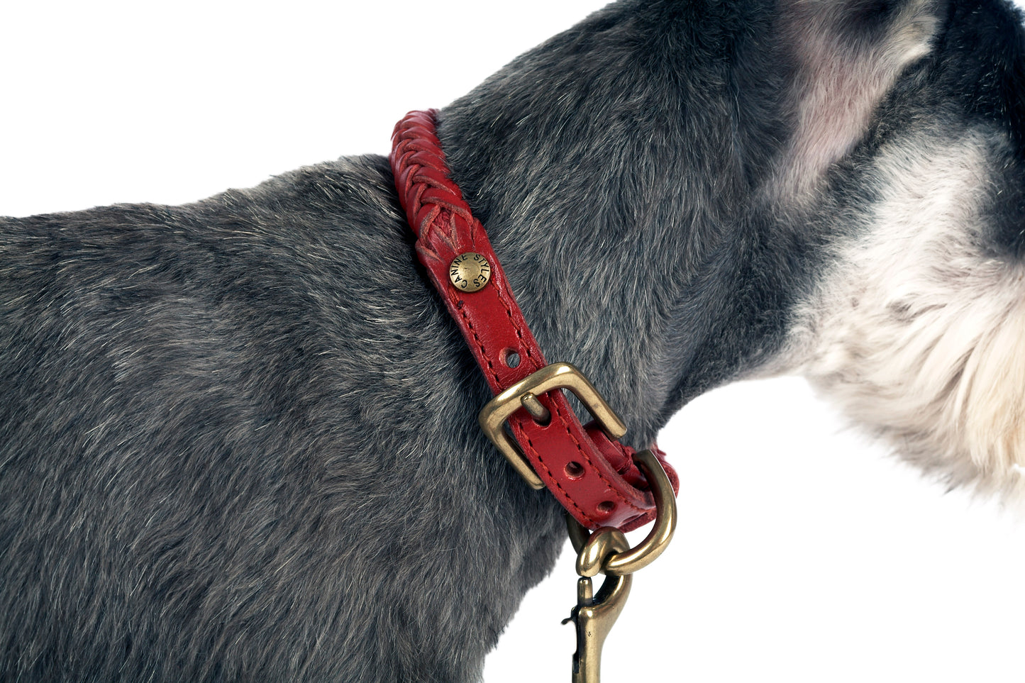 Braided Leather - Dog Collar | 5 Color Options