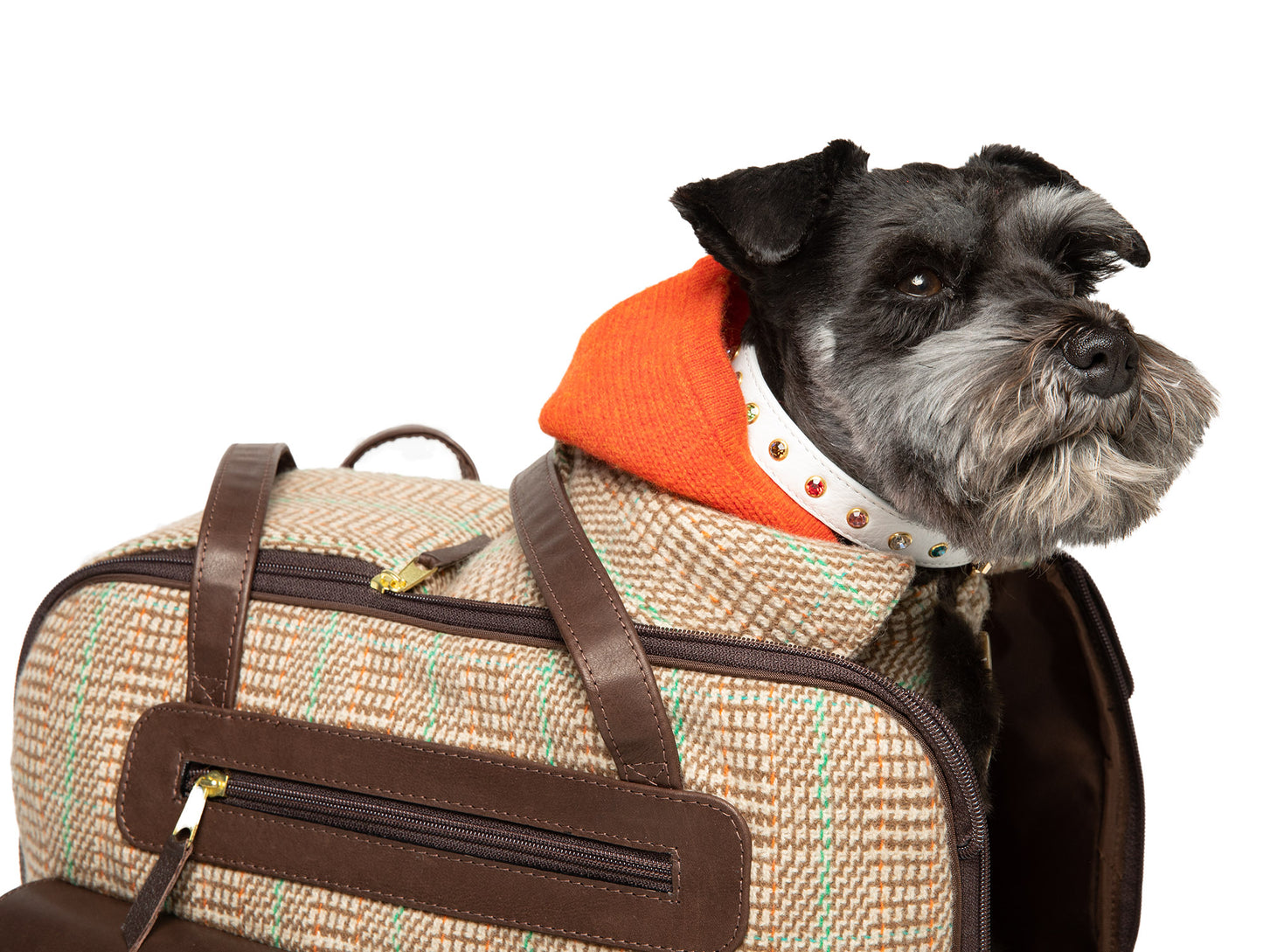 Canine Styles White Leather Multi-colored Rhinestone Collar