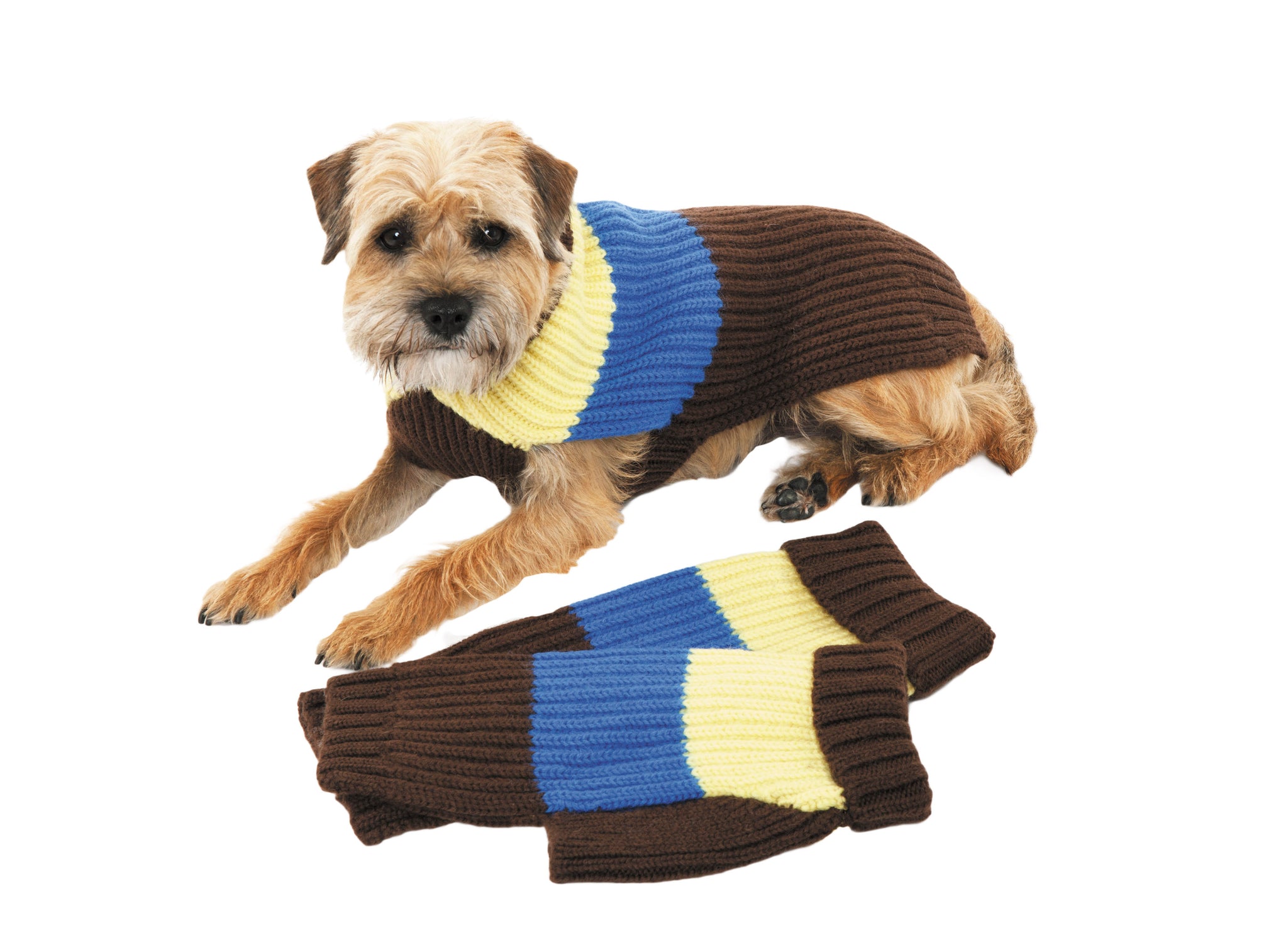 Wool Dog Sweater - Deer Valley - Brown, Blue & Yellow