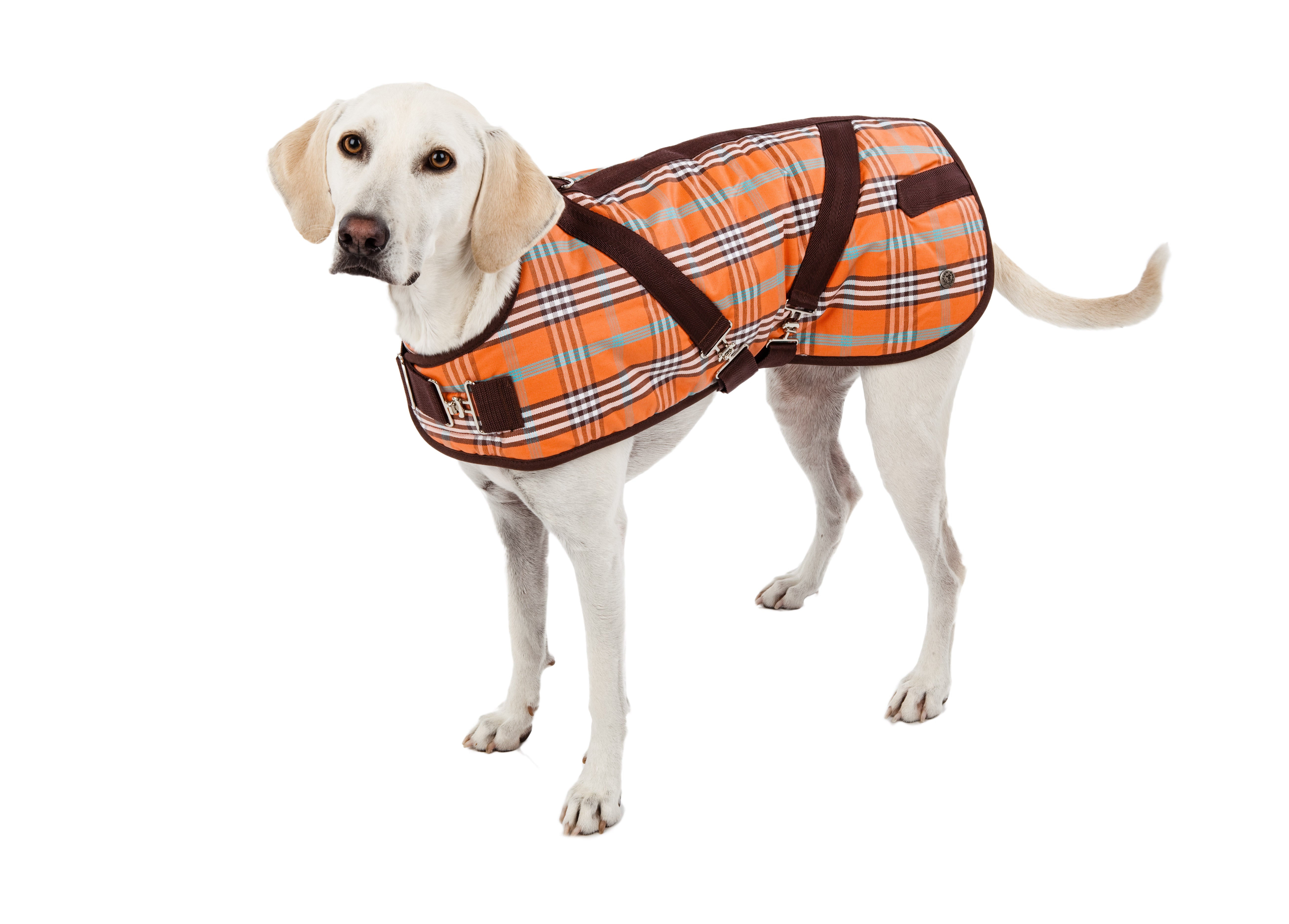 Dog Coat Horse Blanket, Signature Orange Plaid CanineStyles est