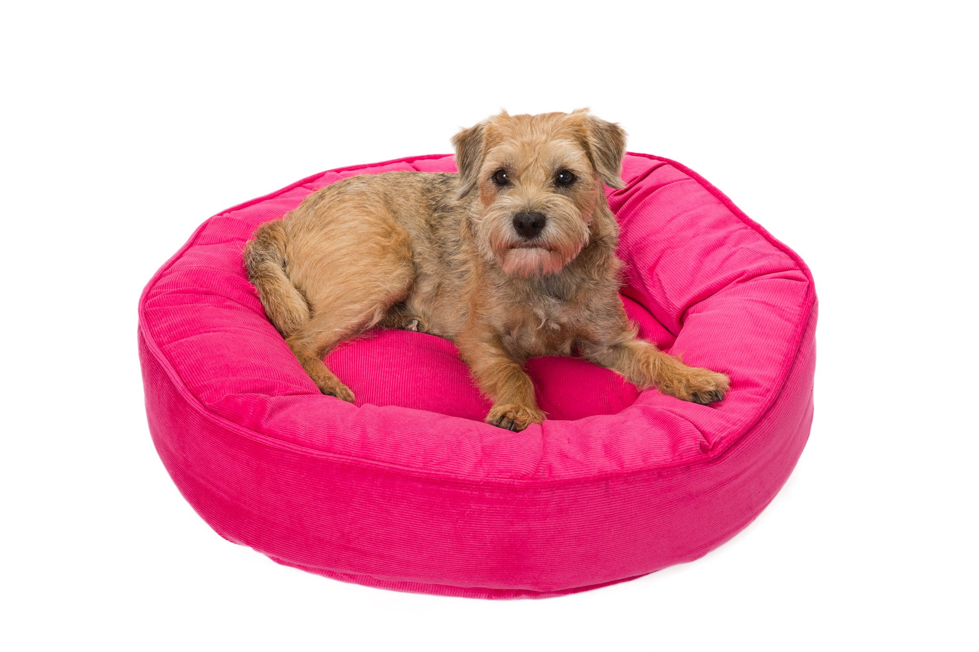 Canine Styles - Corduroy Hot Pink, Purple or Navy - Dog Bed