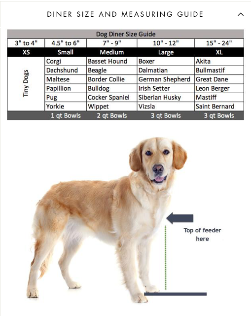 Noor Dog Diner - Dog Feeder - Dog Bowl