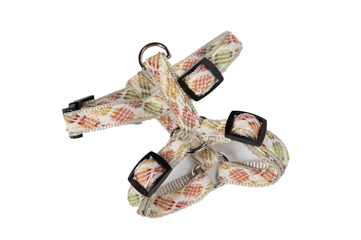 Designer Collection - Collar, Harness, & Lead - Fruit Punch Collection